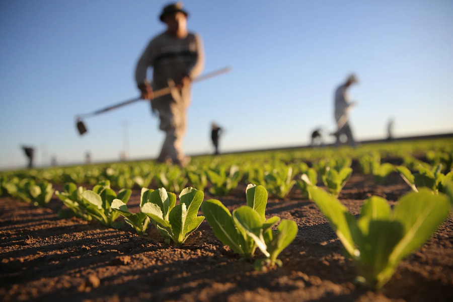 Novas Técnicas de Irrigação para Aumentar a Produtividade