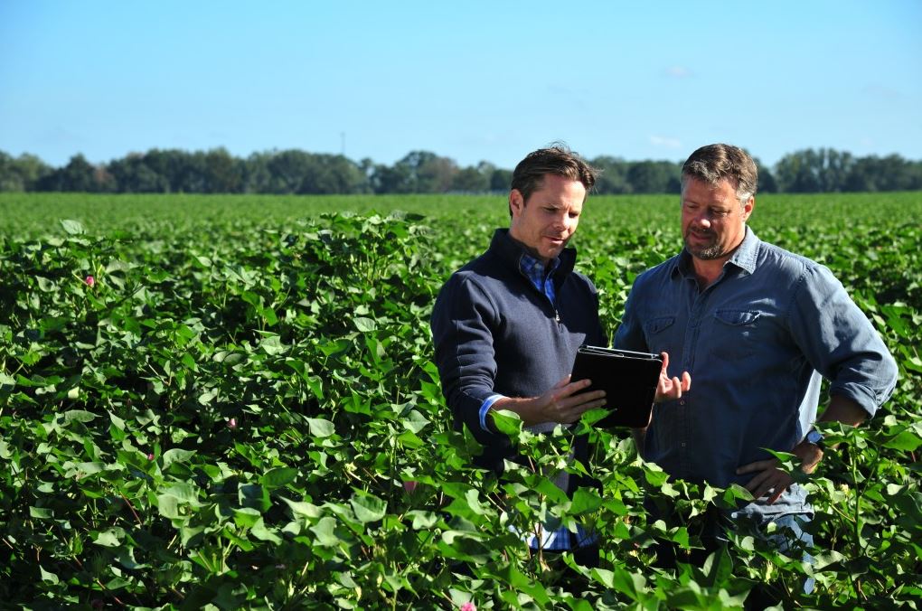 Oportunidades de Investimento no Agronegócio Brasileiro