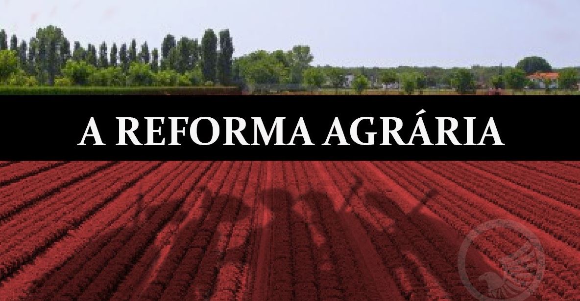 Reforma Agrária: Avanços e Desafios