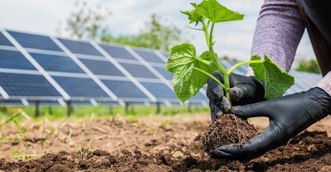 Energia solar: a solução para a energia nas propriedades rurais