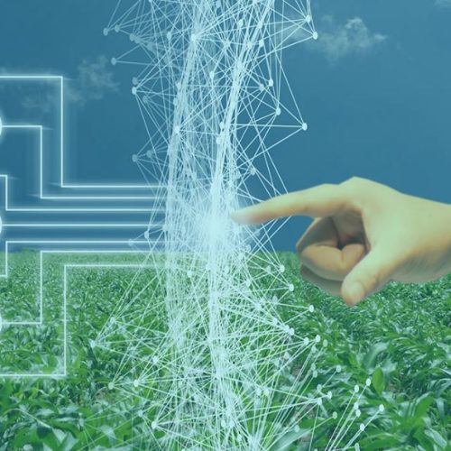 Inteligência artificial prevê safras e otimiza gestão agrícola