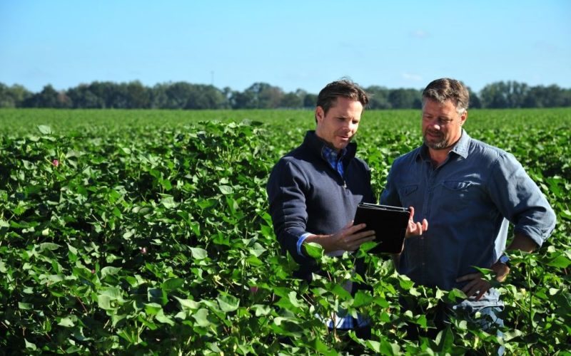 Oportunidades de Investimento no Agronegócio Brasileiro