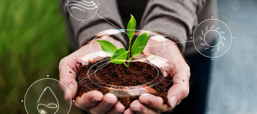 Agricultura regenerativa: a chave para um futuro mais sustentável