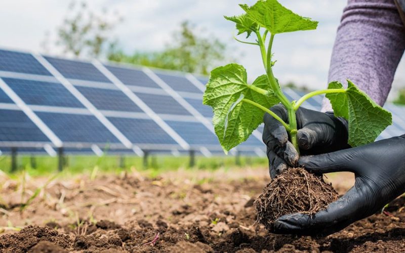 Energia solar: a solução para a energia nas propriedades rurais